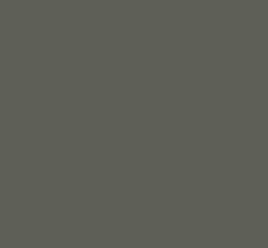 GRIS DIETCI 783