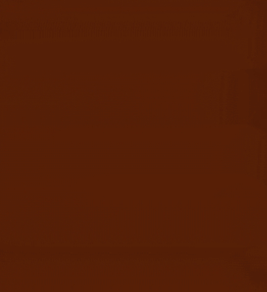 ROUGE RVI 1569