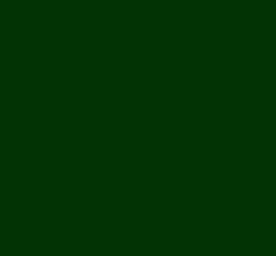 VERT SOMECA 4069LA